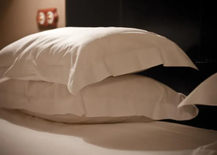 Отель Rural Palacio